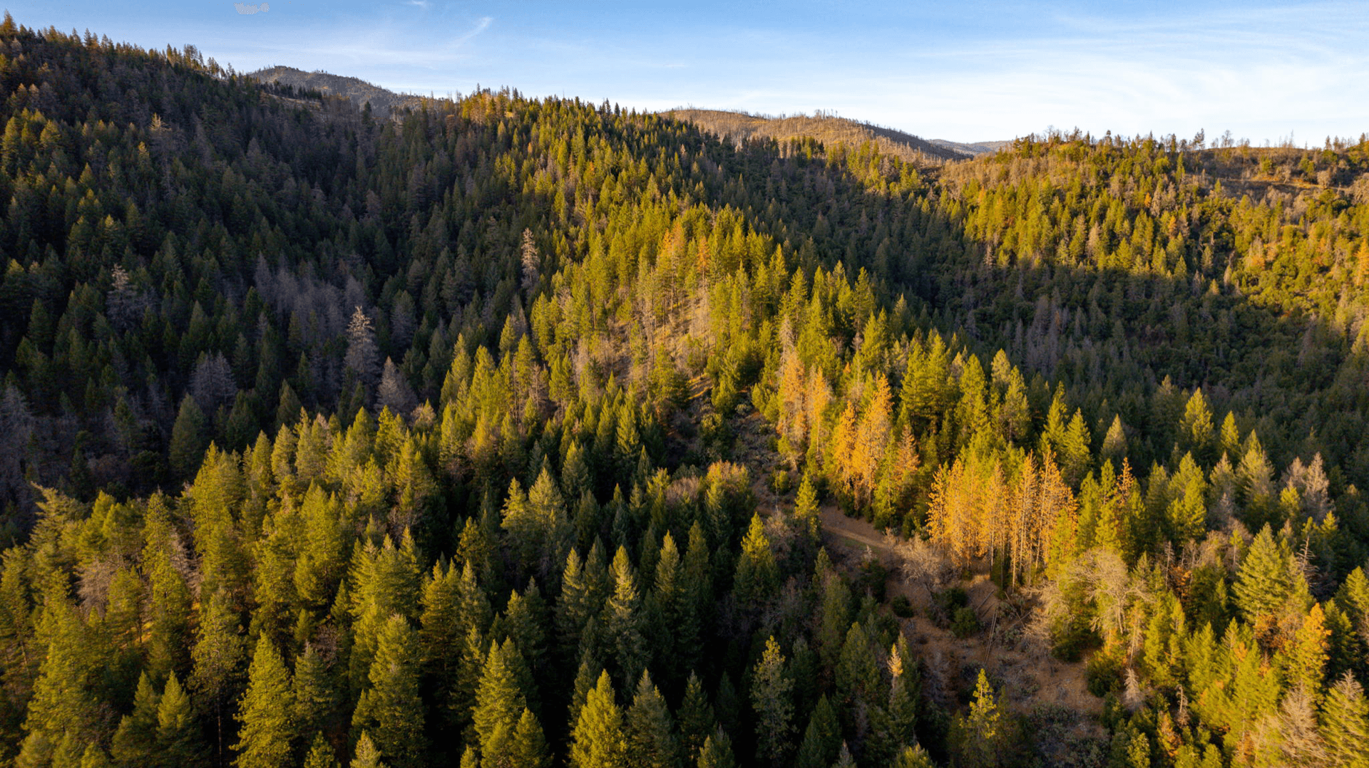 Aerial Precision 16